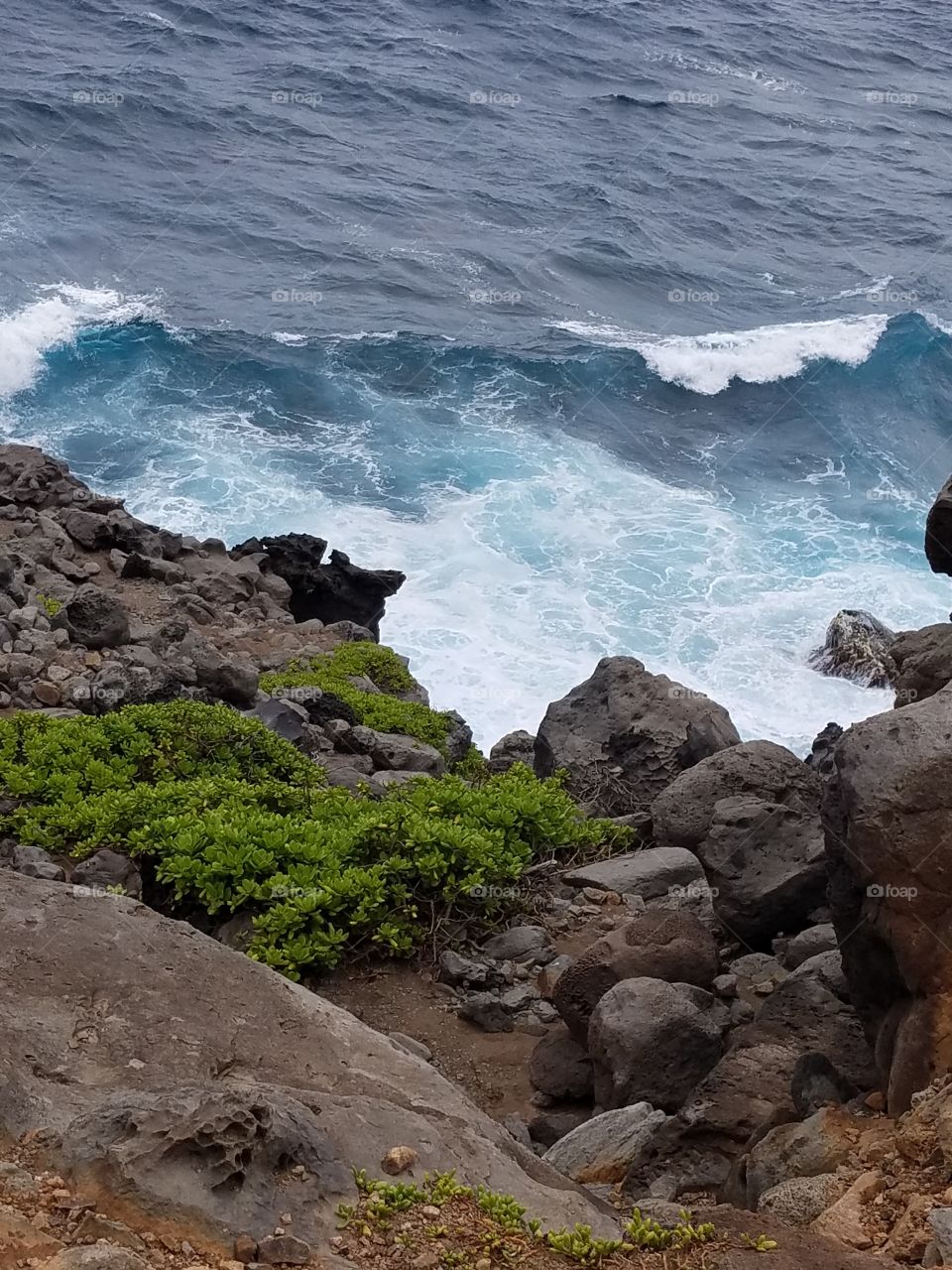 Maui surf