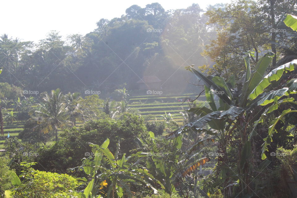 village of sukabumi