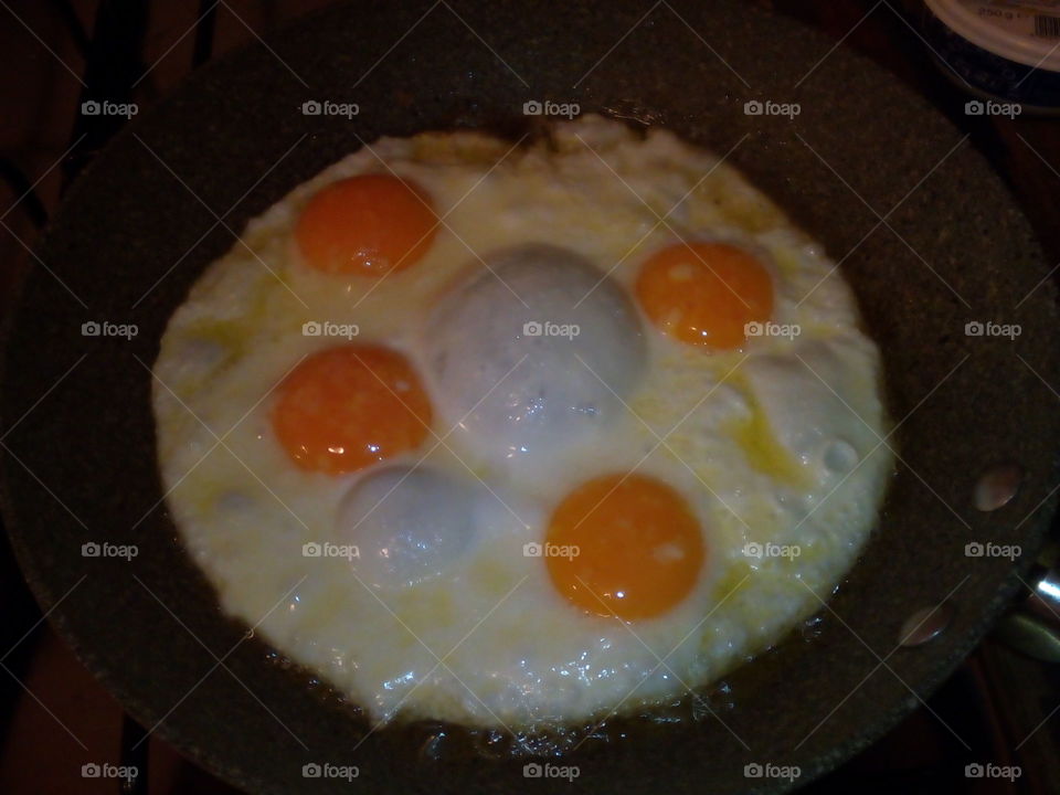 four eye eggs