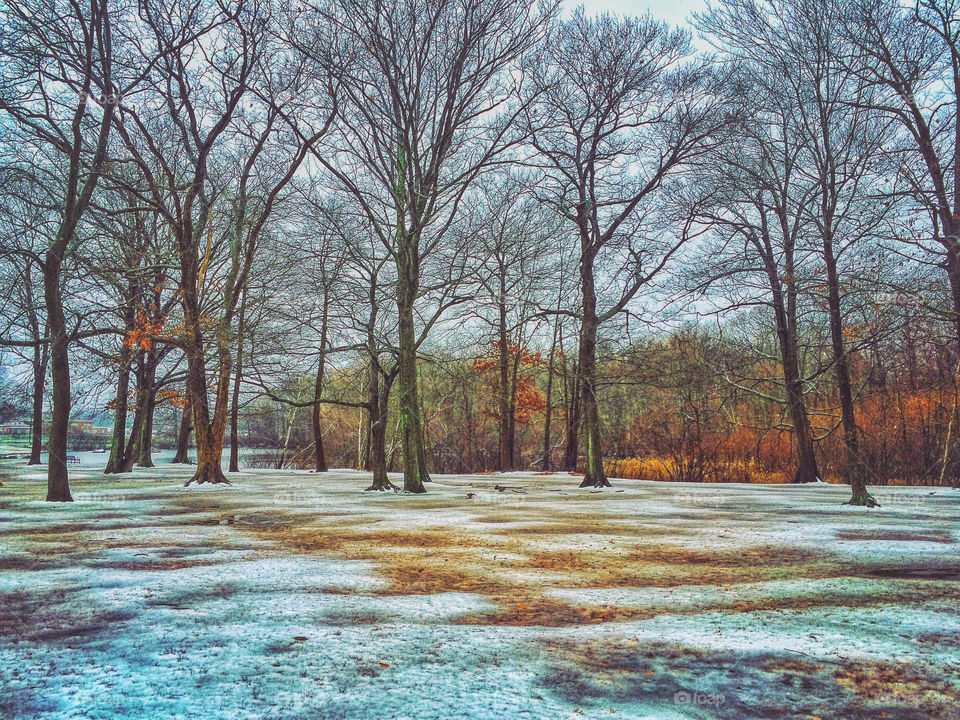 The first winter storm of the season 