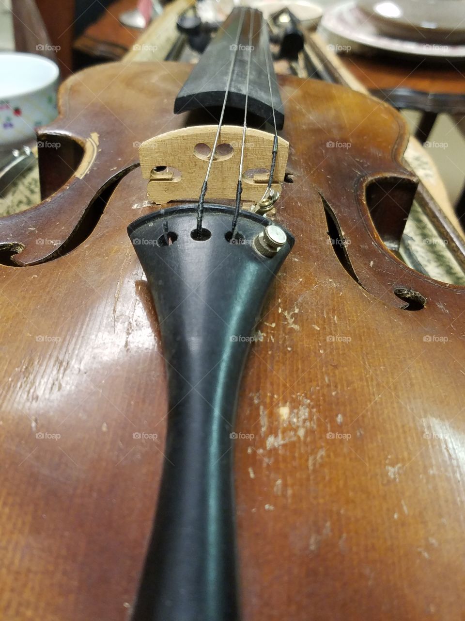 Violin