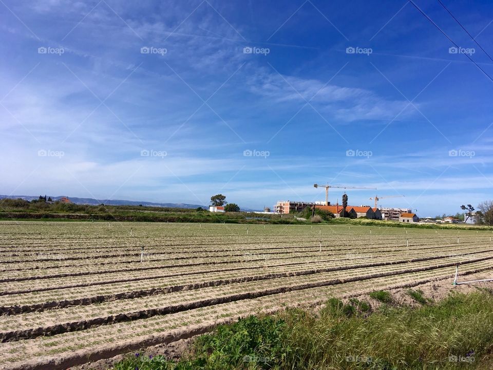 Farm countryside summer hot 