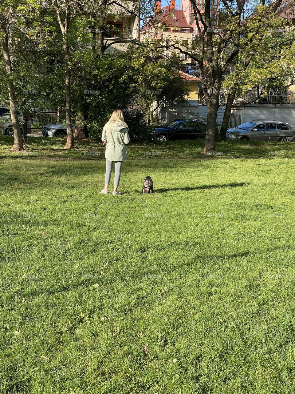 Back view woman with dog in the park 
