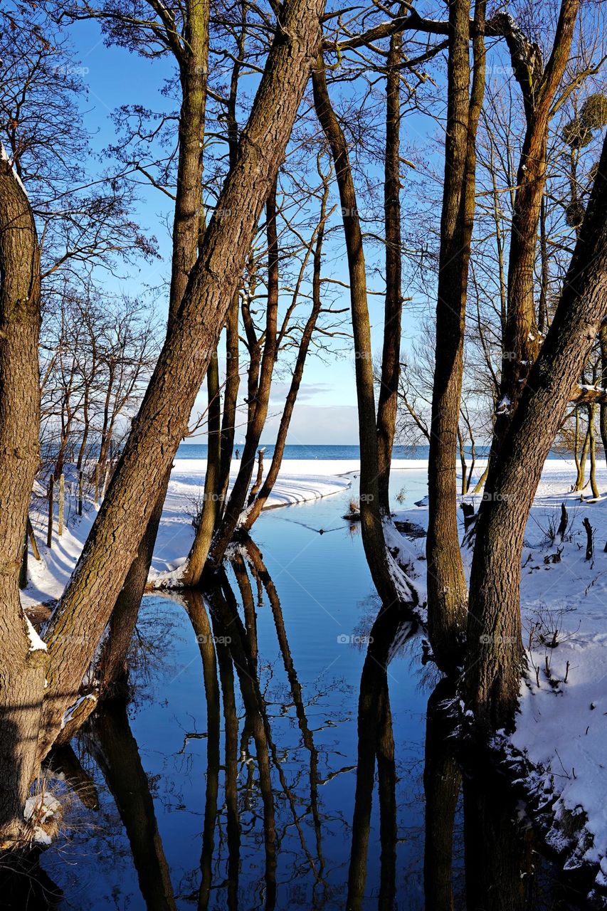 River in winter