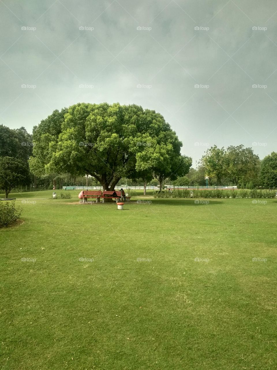 beautiful garden view hd.