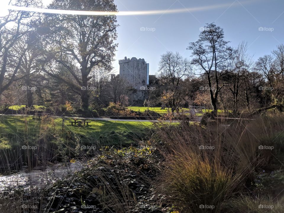 Blarney Castle from a Distance