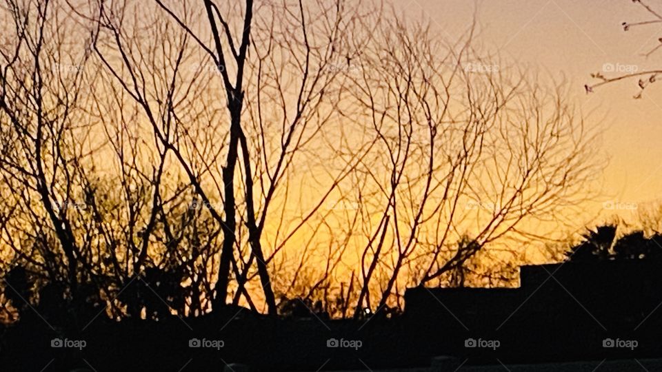 Sundown after 4 days of inclement weather. Beautiful Yellow Horizon. Been a long time since i have seen a Yellow Sundown. Seasons changing time changing soon. Not Good.