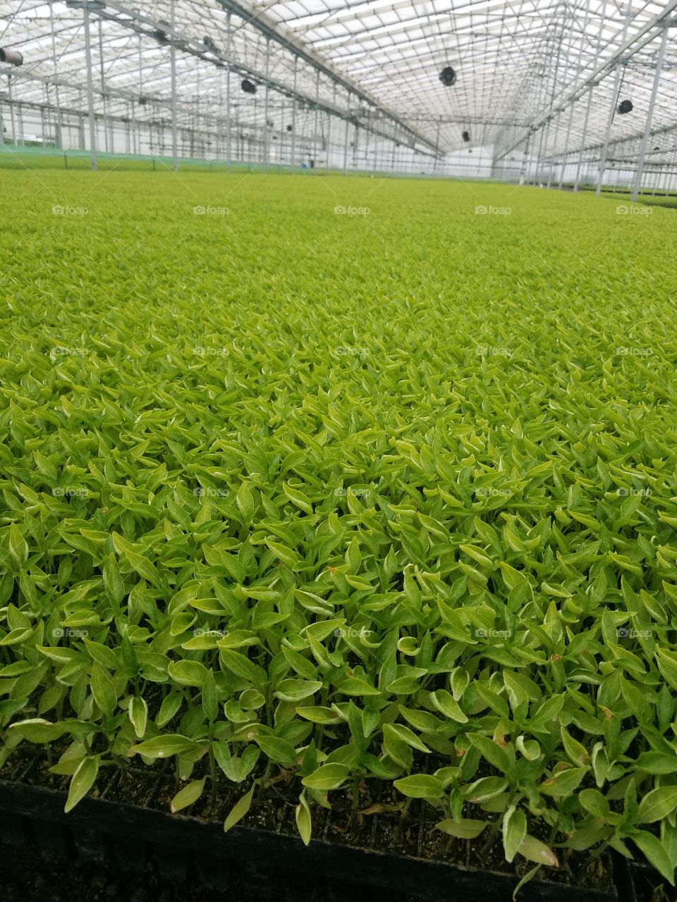 A look at what few know