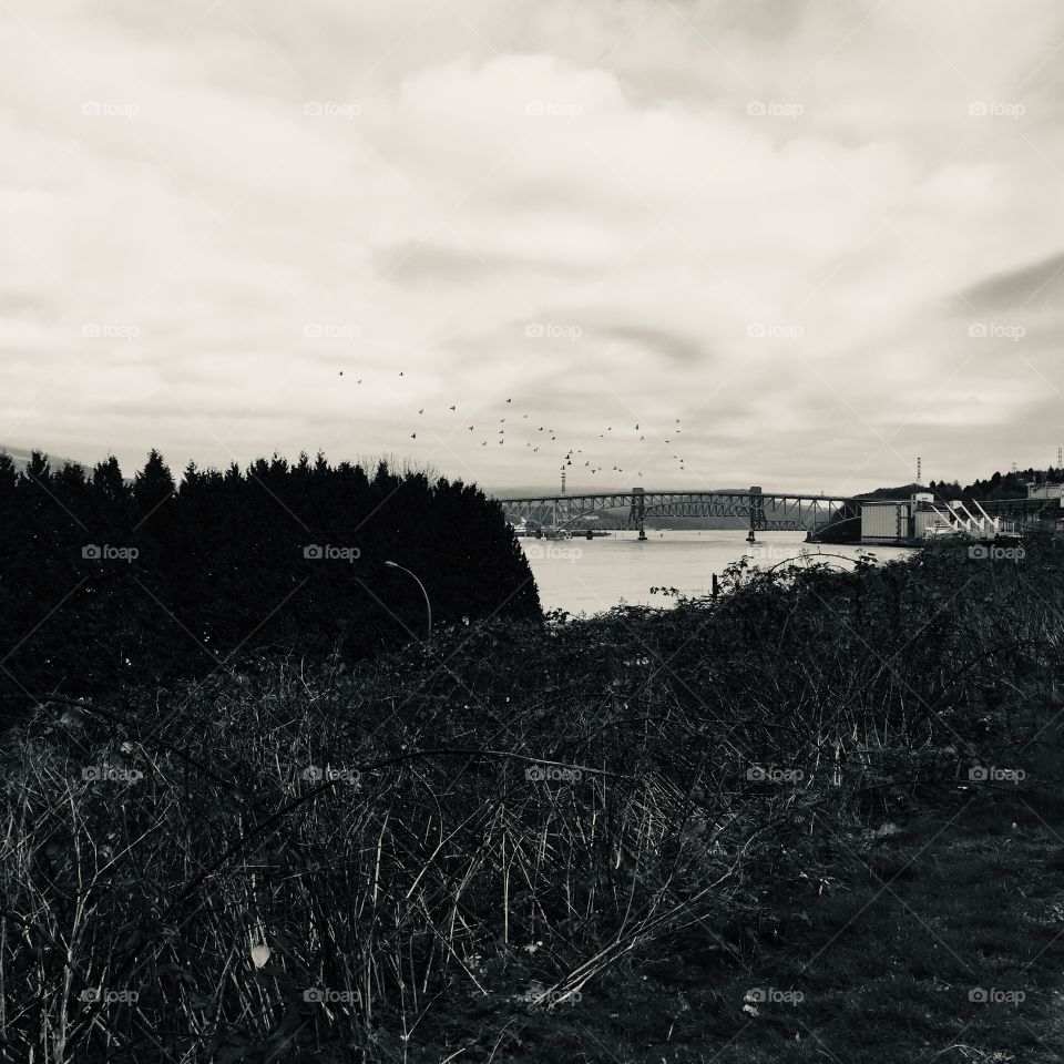 Second narrows bridge in black and white