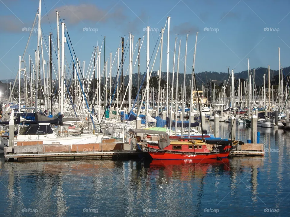 Boats