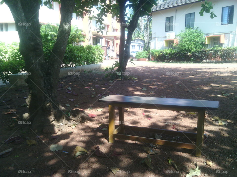 wooden bench in ground
