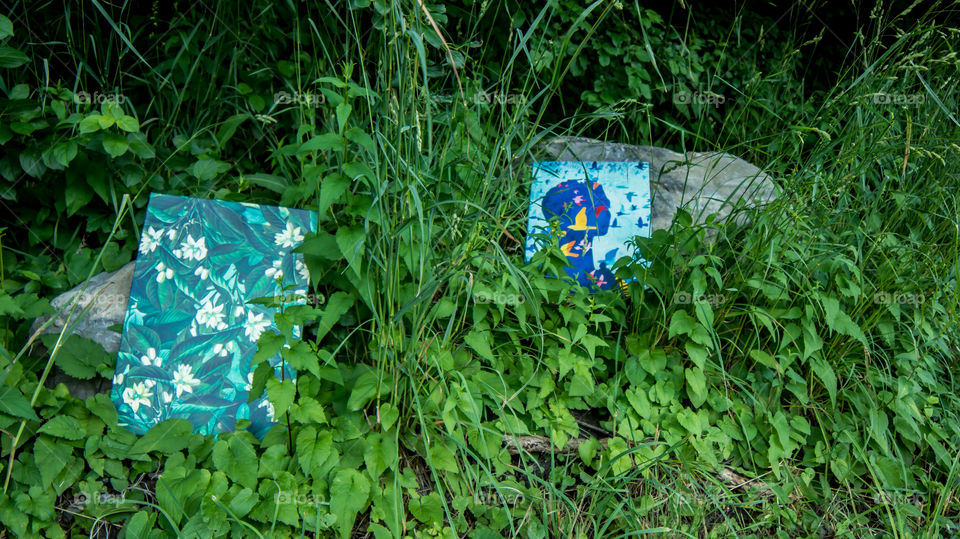 Displate art conceptual abstract nature photography of Displate in the wild - Displate is committed to nurturing the environment by planting trees