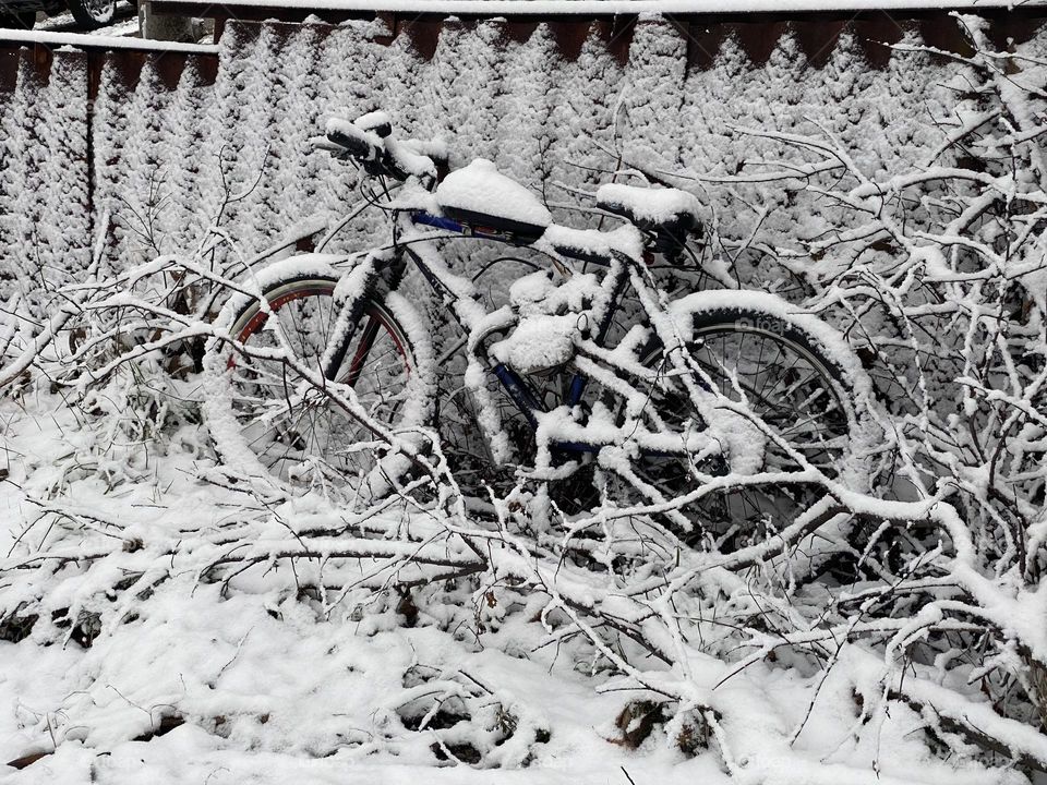 Bicycle covered with snow 