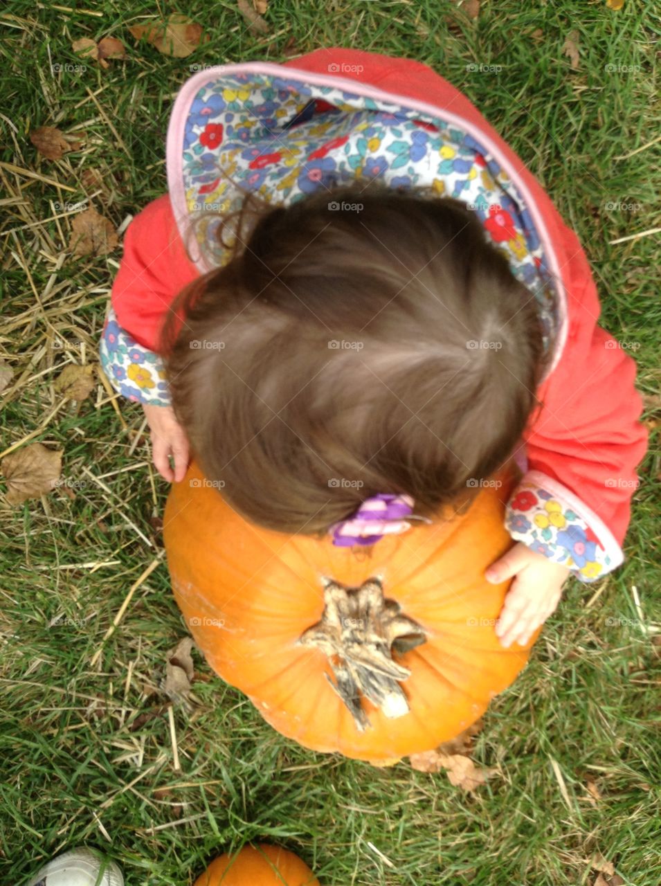 Pumpkin girl 