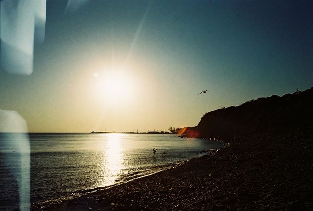 Seaside sunset wild beach seagulls film photo