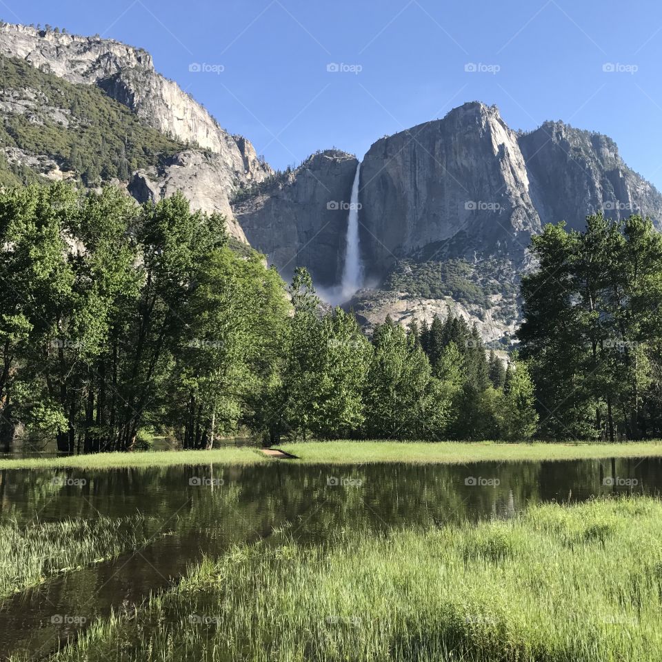 Yosemite beauty