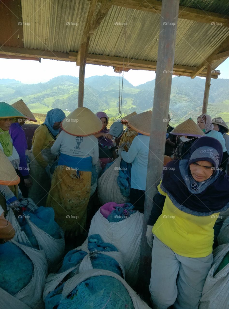 work hard, central java