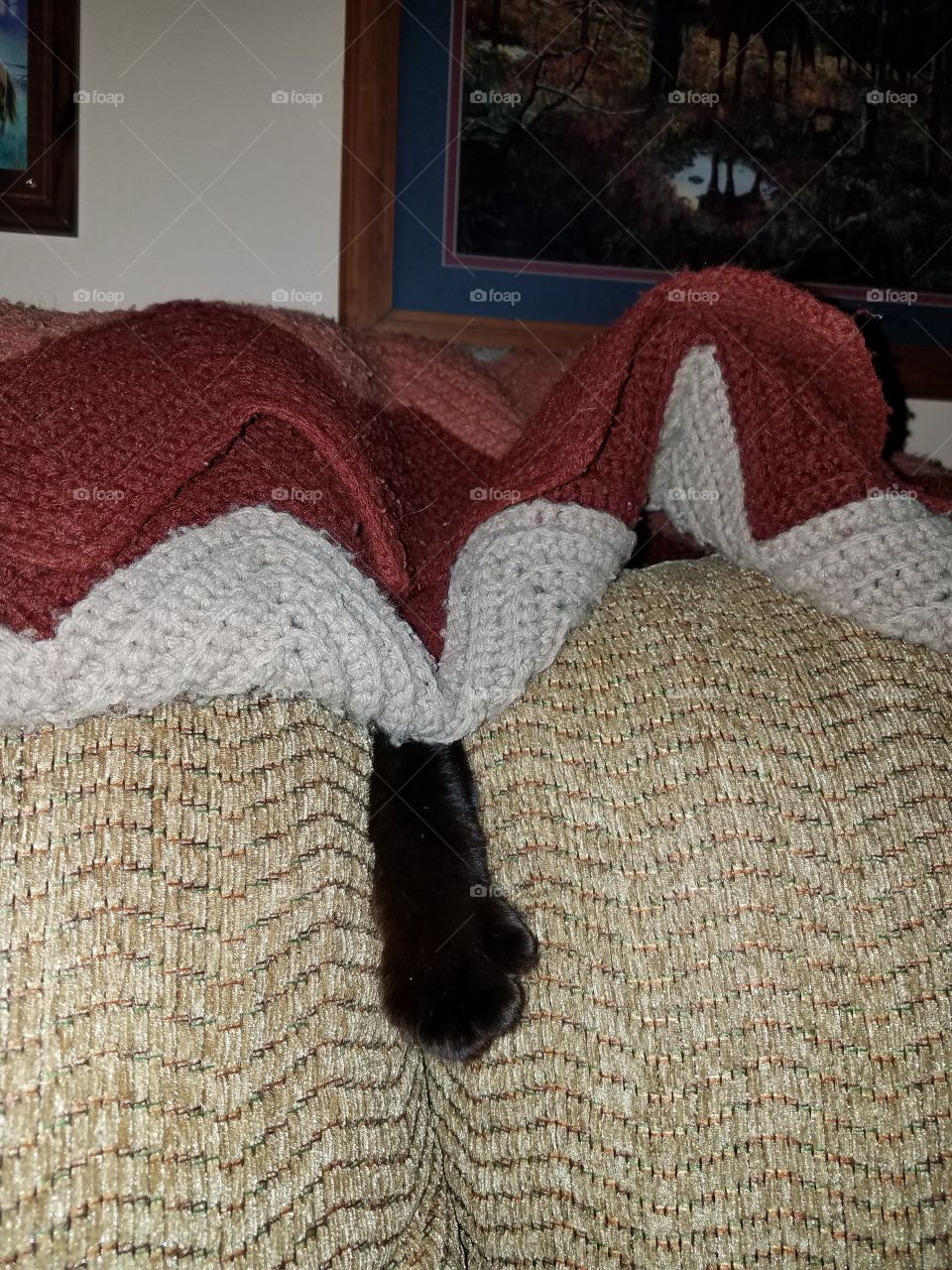 she thinks she's hiding