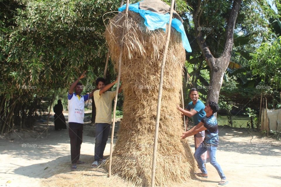 Fifa World Cup trophy 