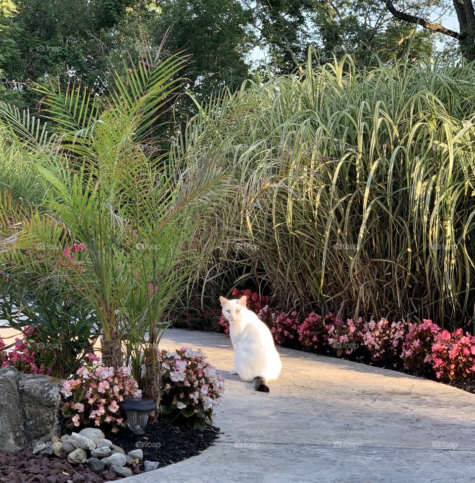 Beautiful Saturday Morning 