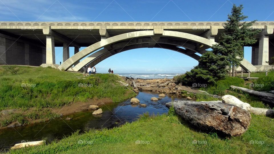 bridge over the small river