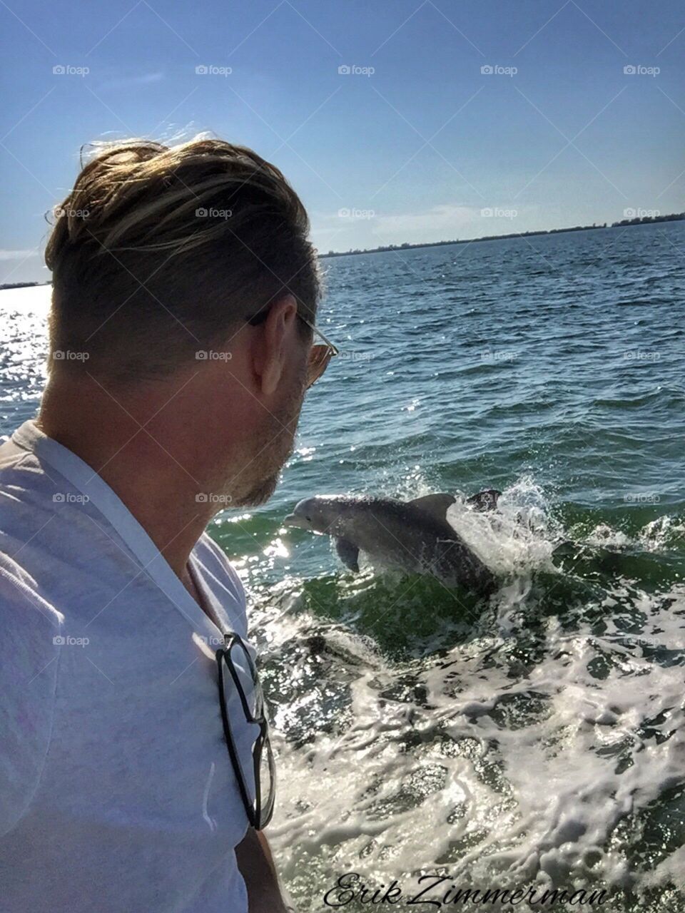Dolphin watching 