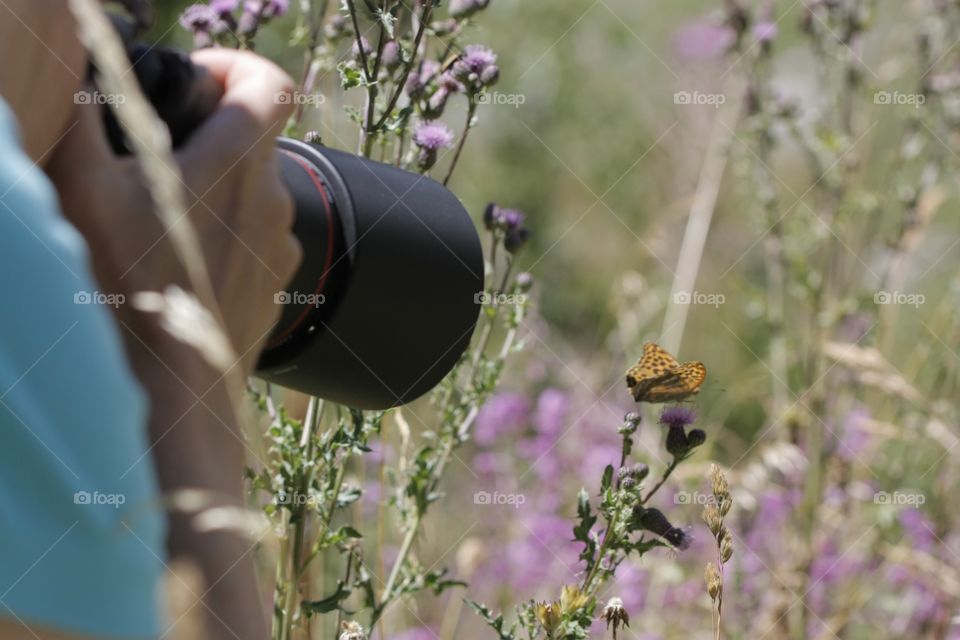 Woman photographing butterfly on flower