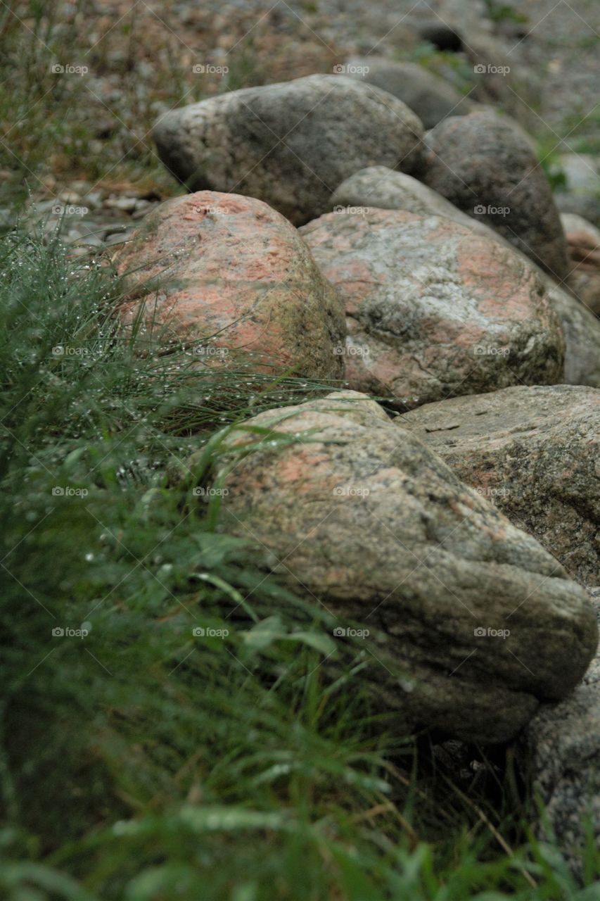 Rocks and grass during the rain