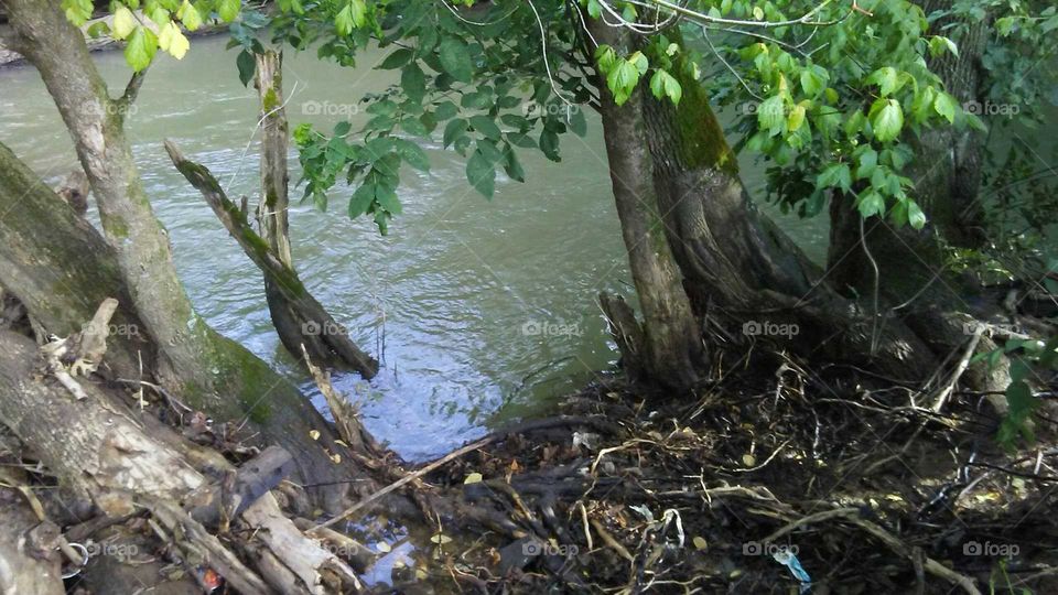 beautiful day outside