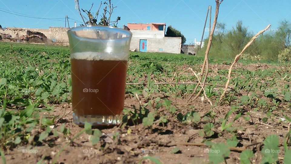 A cup of tea in nature.