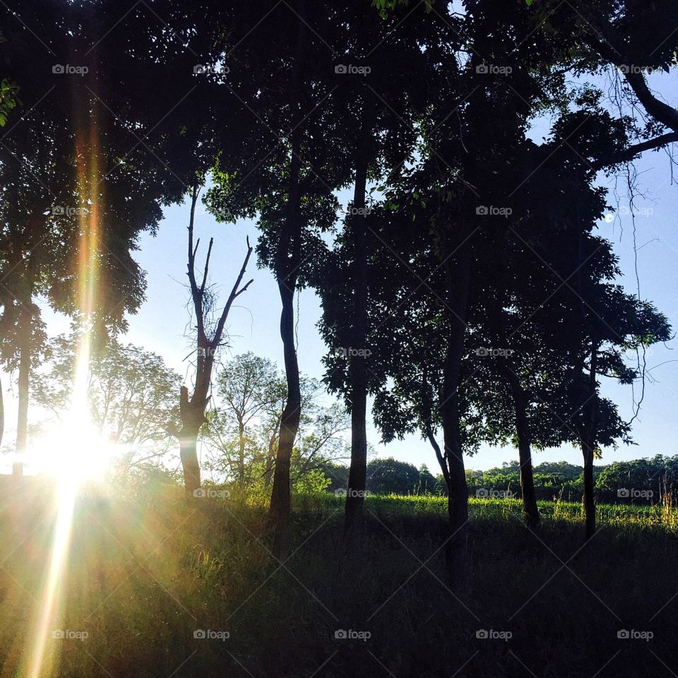 Let the sun shine in. An early morning run to get the day started. 