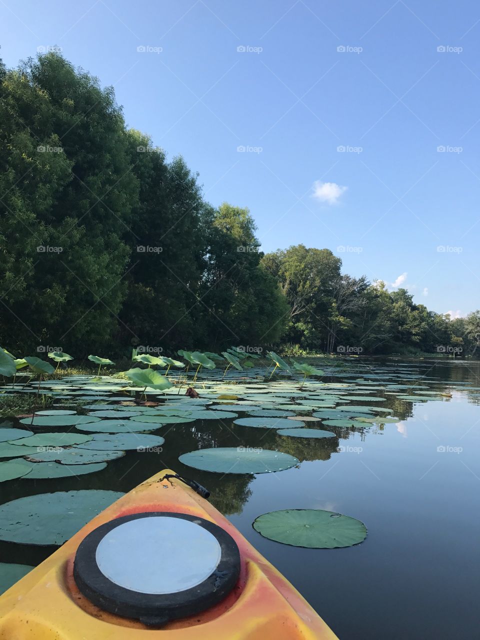 Kayaking
