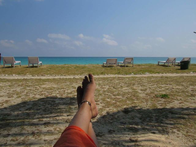 beach life