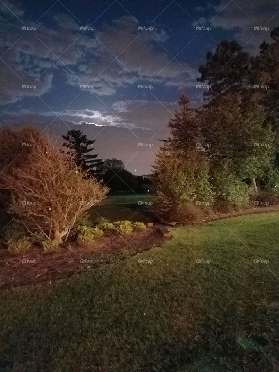 Golf Course at Night