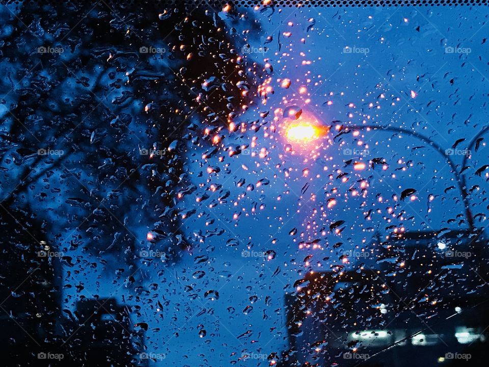 Raining time evening light tree 