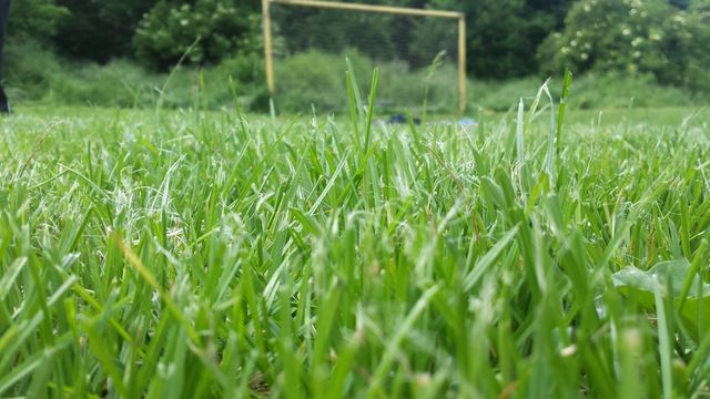 Fotbal