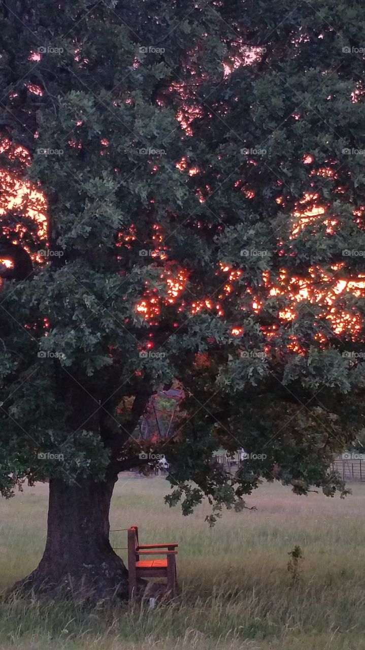 Sunset in the peace of the evening