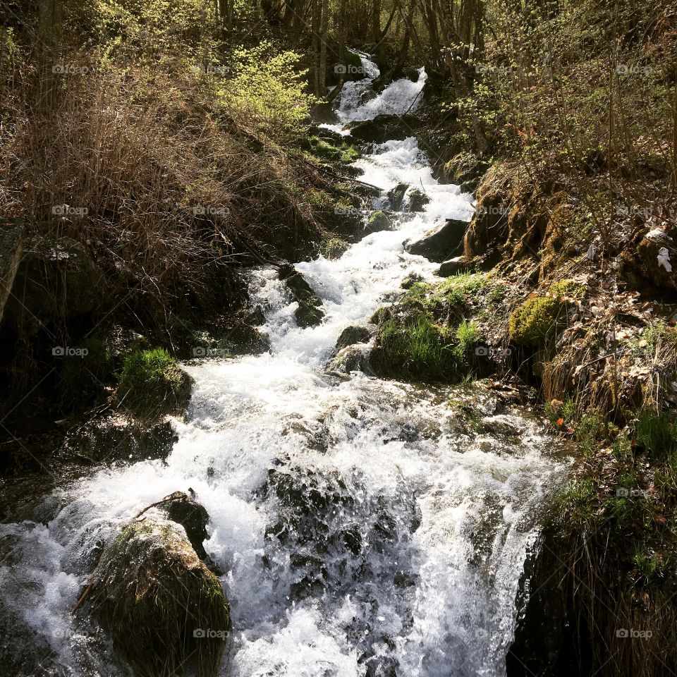 Mountain Stream