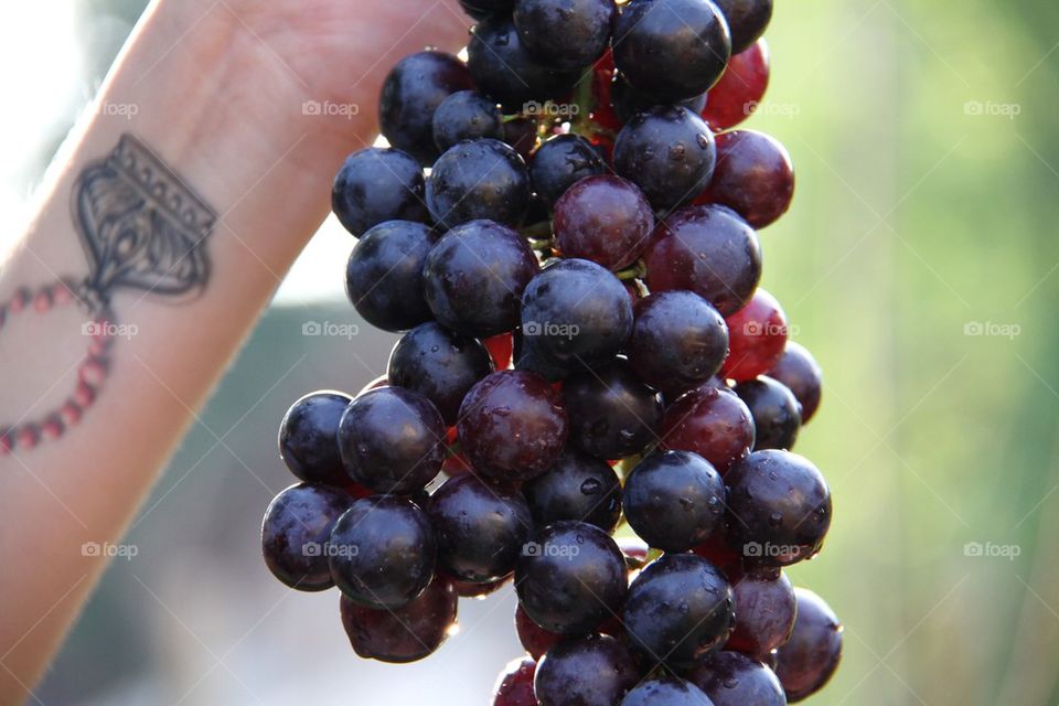 Red grapes