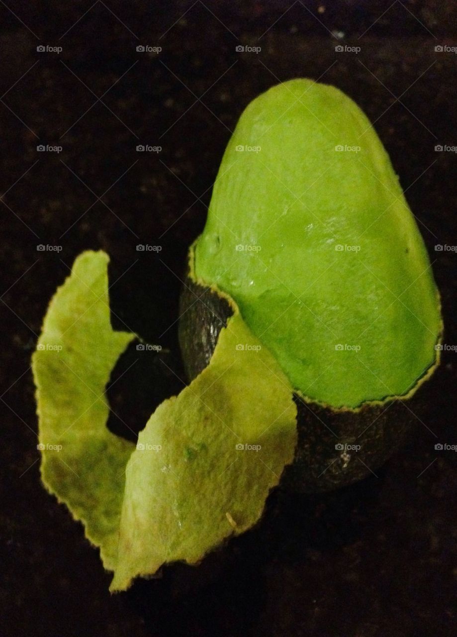 Avocado