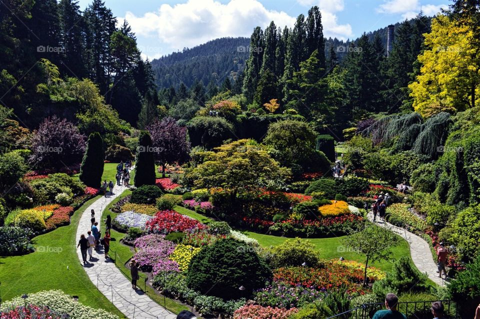 Butchart Gardens 