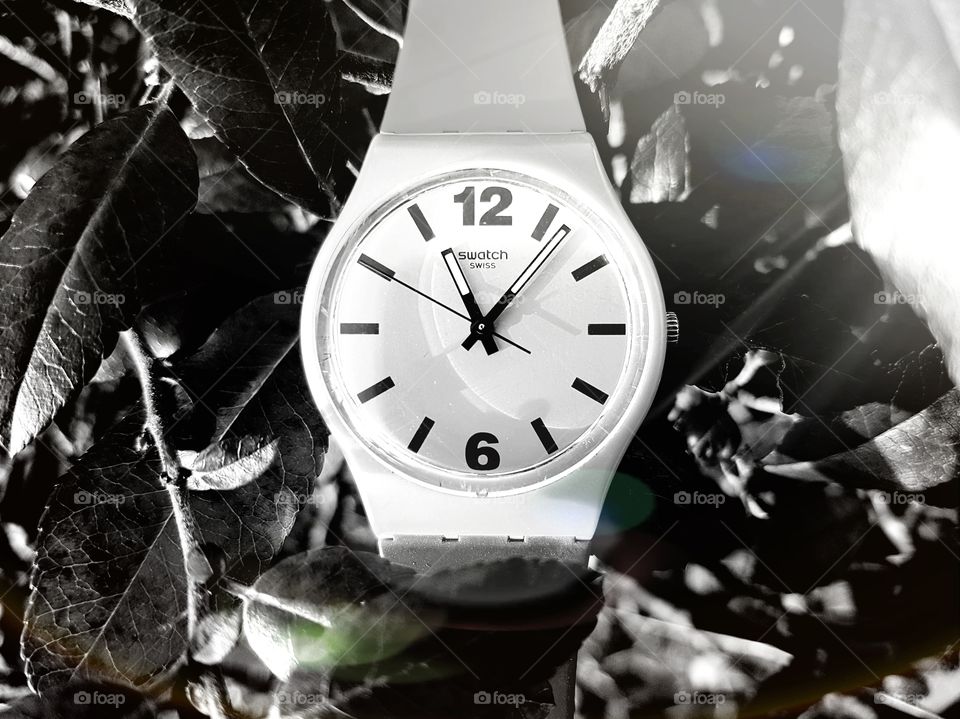 swatch bw