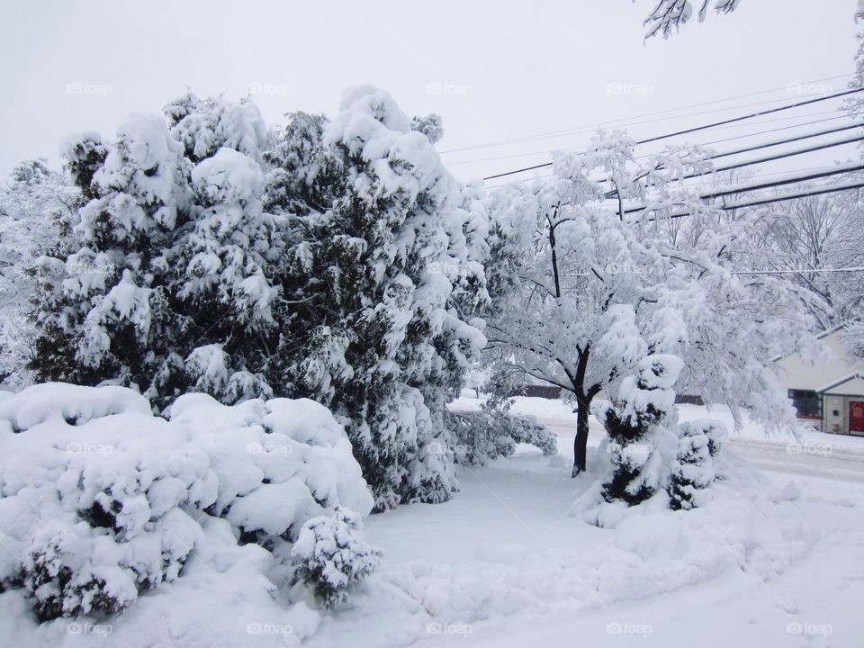 Snow Snow and More Snow