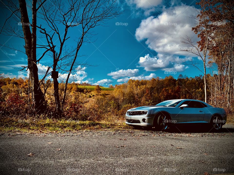 Fall Cruise