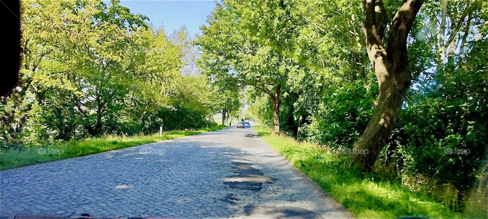 We are driving along picturesque country roads on the island of “Rügen” by the “Strelasund”, a part of the “Baltic Sea” in “Mecklenburg - Western Pomerania”, Germany. 2024. Hypnotic Productions