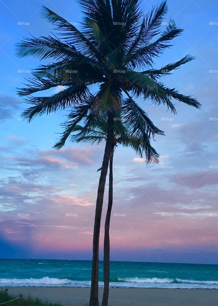 Miami beach sunset at the beach