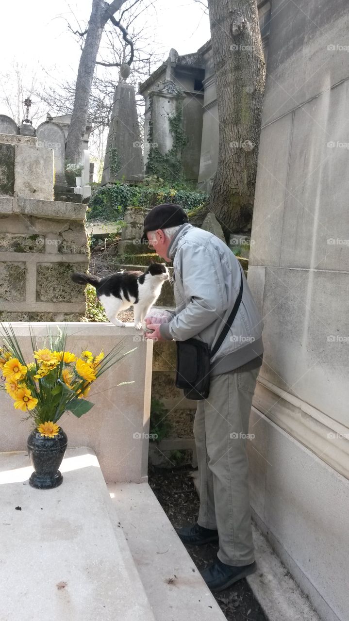 The Tour Guide. While in Paris,  this French tour guide took me through the grounds of a cemetery , pausing to say hello  to this furry friend. 