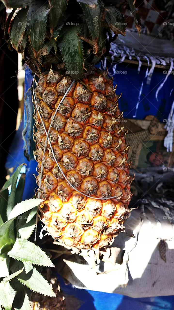 pineapple