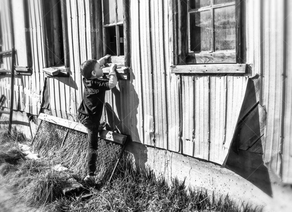 Barn exploring 