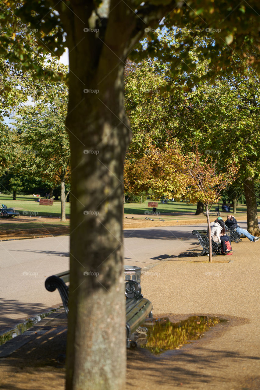 Autumn at the Park 